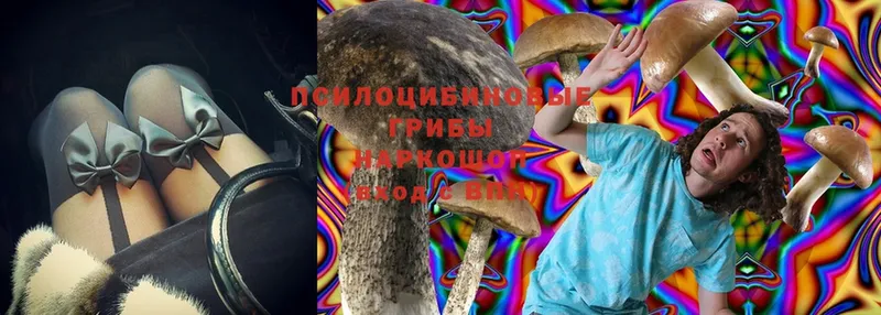 Псилоцибиновые грибы MAGIC MUSHROOMS  Старая Купавна 